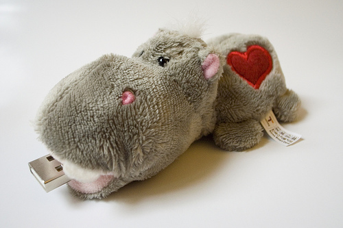 RFID hippo (Tmoney)