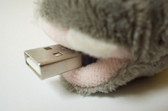 RFID hippo (Tmoney)